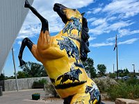 coland002  die Bedeutung des Pferdes..