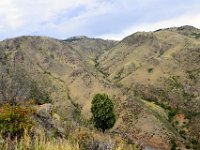 coland017  nähe Arvada auf dem Berg