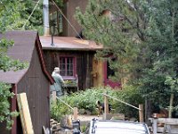 usaco0442  alternativer Lebenstil