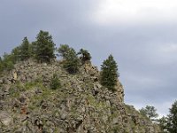 usaco0583  in den Rocky´s