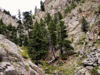 usaco0596  in den Rocky´s