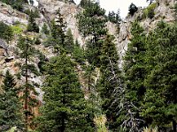 usaco0612  bei den Boulder Falls