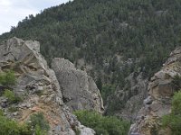 usaco0651  in den Schluchten