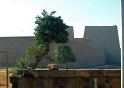 Edfu 02030912