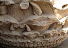 Edfu 020309142