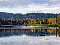 glake123  früh am Morgen