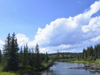 usaynp0010  Jenny Lake Zufluss