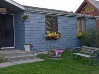 usaynp0035  Nationalstolz in der Blumenkiste