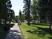 usaynp0127  der Jackson Hole Stadtpark