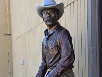 usaynp0141  einsamer Cowboy