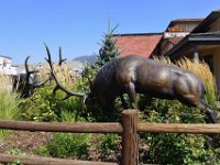 usaynp0144  Jackson Hole Village