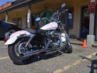 usaynp0148  viele Harleys in Jackson Hole