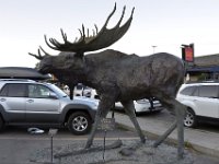 usaynp0187  der Elch als Statue