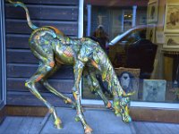 usaynp0196  Rodeo Pferd