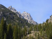 usaynp0217  am Hidden Fall Trail