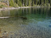 usaynp0220  am Jenny Lake