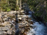 usaynp0223  am Hidden Fall Trail