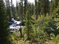 usaynp0227  am Hidden Fall Trail