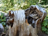 usaynp0234  verbogen