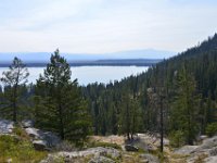 usaynp0254  Blick auf den Jenny Lake