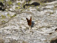 usaynp0273  am Hidden Fall Trail