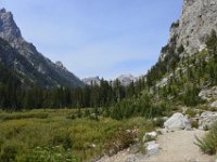 usaynp0278  am Hidden Fall Trail