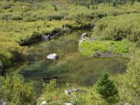 usaynp0279  glasklar