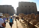 Egypten2009920090307 0109  Karnak Tempelanlage Luxor Zugang : Karnak Tempel, Egypt, Luxor, Fotodokumentation