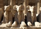 Egypten2009920090307 0118  Karnak Tempelanlage : Karnak Tempel, Egypt, Luxor, Fotodokumentation
