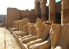Egypten2009920090307 0120  Karnak Tempelanlage : Karnak Tempel, Egypt, Luxor, Fotodokumentation