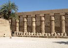 Egypten2009920090307 0400  Karnak Tempelanlage : Karnak Tempel, Egypt, Luxor, Fotodokumentation