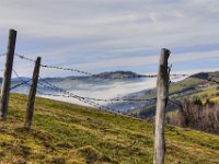 0901 041 t  im Mostviertel Richtung Linz