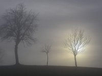 0901 095  Nebel im westlichen Mostviertel