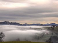 0901 120 t  Nebel im westlichen Mostviertel