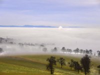 0901 134 t  Nebel im westlichen Mostviertel