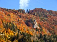 DSC 0001  Herbst im Ybbstal