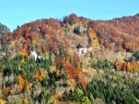 DSC 0003  Herbstfarben