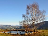 DSC 0506  Weiher im Mostviertel