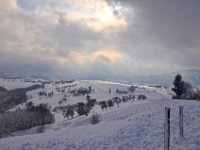 DSC 0852 hdr  Winterlandschaft Ertl N.Ö.