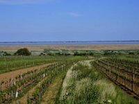 esterhazy28 tonemapped  am Neudiedlersee Burgenland