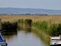 esterhazy42  am Neudiedlersee Burgenland