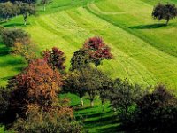 insp001  Landschaftspflege