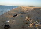 P3138931  Strandgut der Ziwilisation : Egypt, Makadi Bay, Hurgharda, Grand Makadi