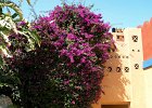 grand makadi 19  Grand Makadi Anlage : Egypt, Makadi Bay, Hurgharda, Grand Makadi