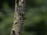  DSC1839a