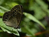  DSC2031aa
