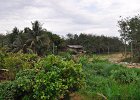 malaysia015
