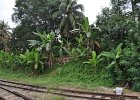 malaysia024