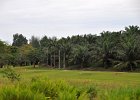 malaysia046