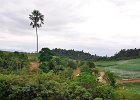 malaysia049